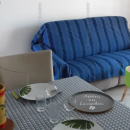 Mazet T3 Avec Jardin, Terrasse Et Piscine, Climatise, 4 Couchages, Parking Prive, - Fr-1-803-45 * Le Lavandou
