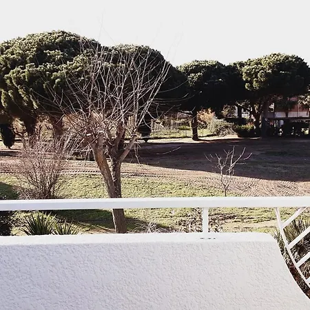 Semesterbostad Mazet 2 Avec Terrasse Et Parking Au Lavandou - Fr-1-803-45